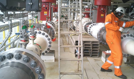 Vector SPO CF for Cold Work Vector SPO CF for Cold Work