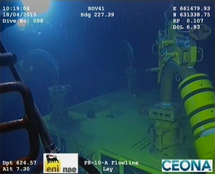 Vertical Flexible - picture 1 Vertical Flexible - picture 1